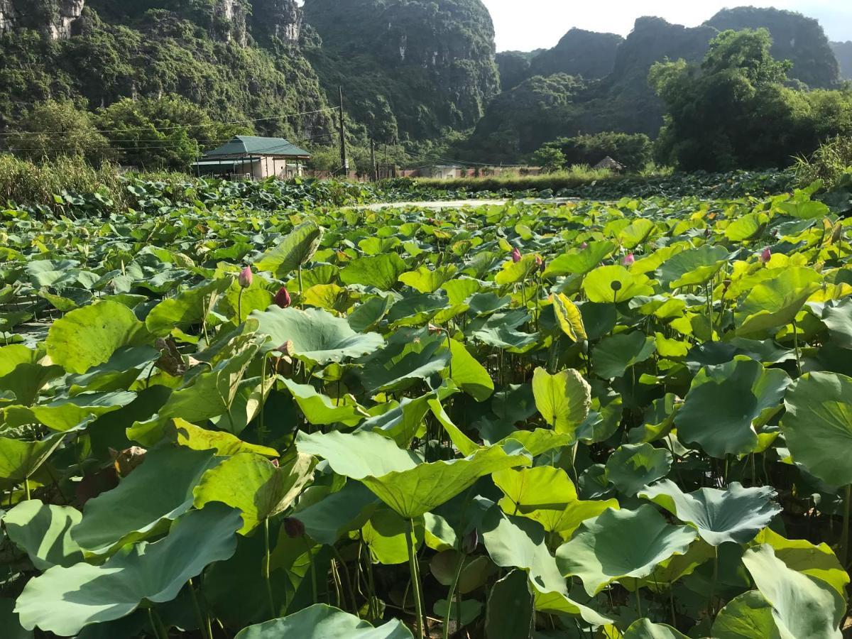 Trang An Lim Garden 호텔 Xuan Son 외부 사진